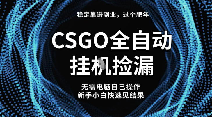 【稳定副业】全球最热门游戏CSGO全自动捡漏，最新玩法，新手小白日入5张+【揭秘】-轻创联盟