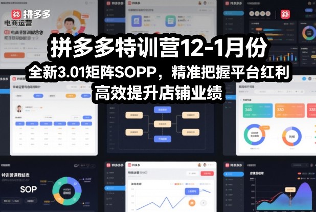 拼多多特训营12-1月份，全新3.01矩阵Sop，精准把握平台红利，高效提升店铺业绩-轻创联盟