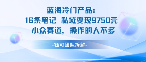 蓝海项目：16条笔记私域变现9750米小众赛道操作的人不多-轻创联盟