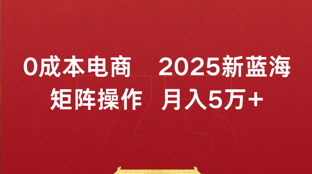 0成本电商2025新蓝海矩阵操作 月入5万+-轻创联盟
