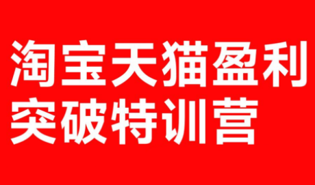 玺承·淘宝天猫盈利突破特训营(25年12月线下课)【音频+字幕】-轻创联盟