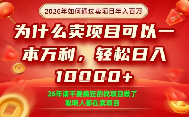 一单净利润1K+，26年想年入100个W，死磕卖项目就够了【揭秘】-轻创联盟