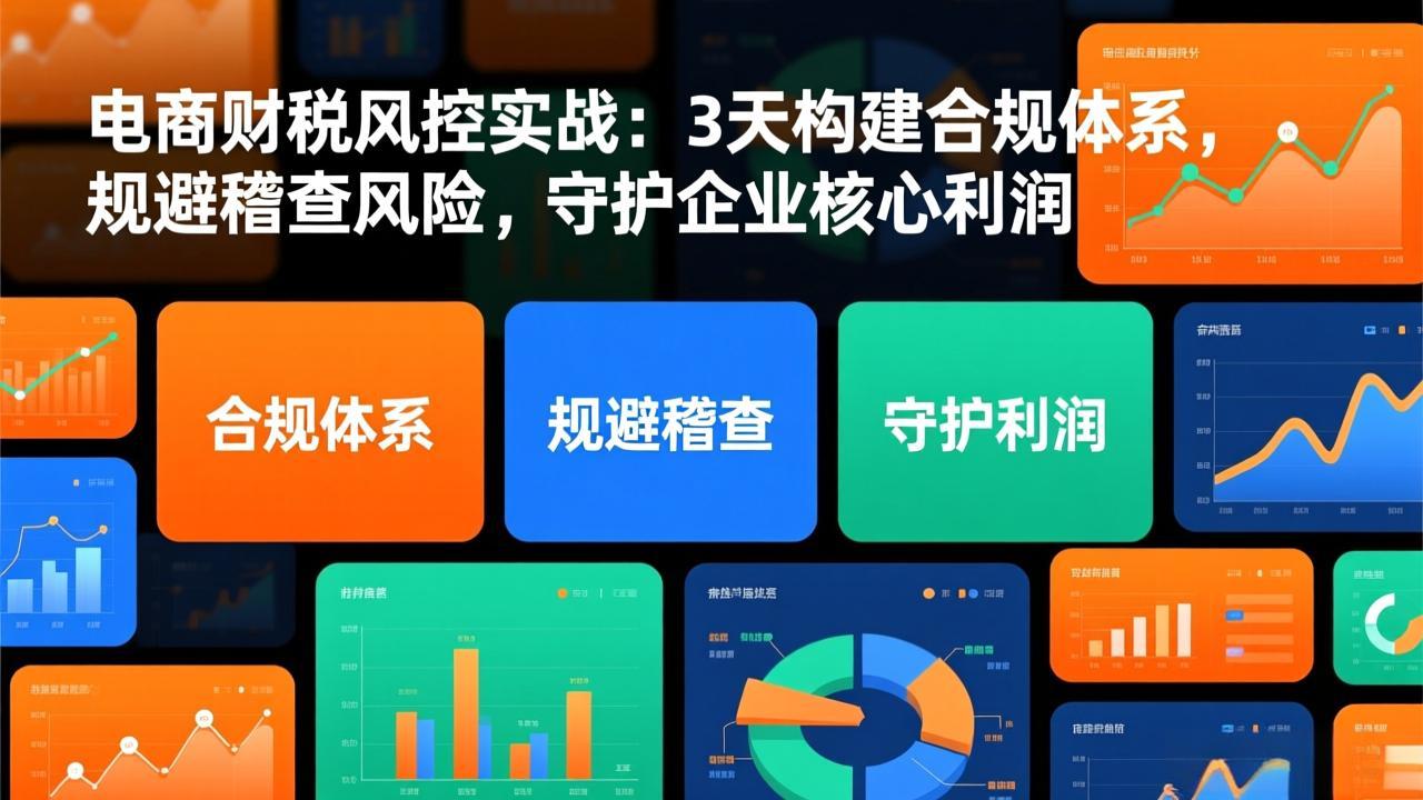 电商财税风控实战：3天构建合规体系，规避稽查风险，守护企业核心利润-轻创联盟