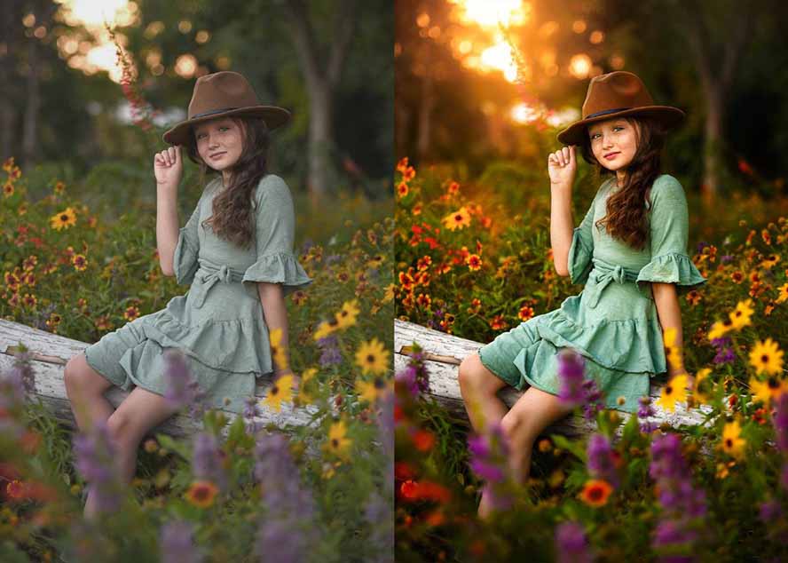 大师级GTG出品-老友记系列AI自适应预设The Friends Preset Collection-轻创联盟