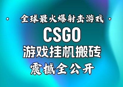 【年底大揭秘】基于全球最火爆的射击CSGO游戏挂G搬砖,日入5张+,震撼公开-轻创联盟
