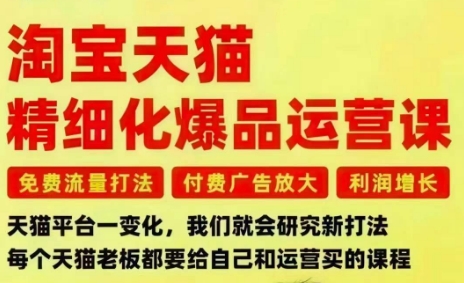 淘宝天猫精细化爆品运营课，免费流量打法-付费广告放大-利润增长-三大核心痛点，一次全部解决-轻创联盟