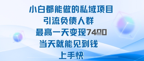 2025年小白都能做的私域项目引流负债人群最高一天变现1k+高变现难度低当天就能见到钱上手快-轻创联盟