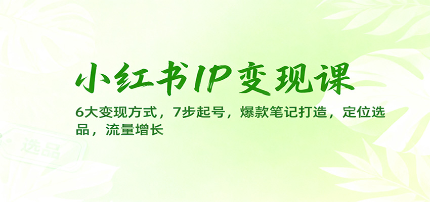 小红书IP变现课：6大变现方式，7步起号，爆款笔记打造，定位选品，流量增长-轻创联盟